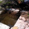 A water stream in the way to Janjaath Sharif Where Khawaja Nizamuddin Auliya RA used to take rest - drinked water and did Wudhu Sharif